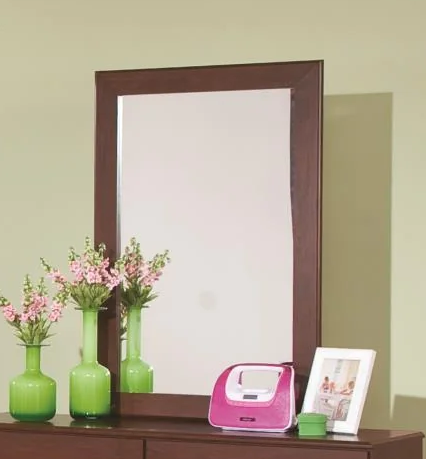 Briar Mirror - Dayton Discount Furniture