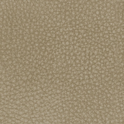 Next-Gen DuraPella Power Reclining Sofa - Dayton Discount Furniture