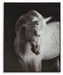 Archerwick Wall Art - Dayton Discount Furniture