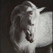 Archerwick Wall Art - Dayton Discount Furniture