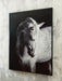 Archerwick Wall Art - Dayton Discount Furniture
