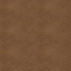 Bolsena Sofa Sleeper - Dayton Discount Furniture