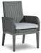 Elite Park Arm Chair with Cushion (Set of 2) Outdoor Dining Chair Ashley Furniture