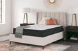 Limited Edition Firm Mattress Mattress Ashley Furniture