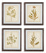 Dyani Wall Art (Set of 4) Wall Art Ashley Furniture