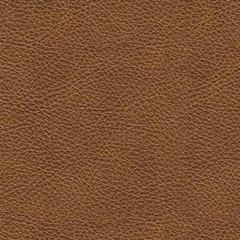 Carianna Sofa - Dayton Discount Furniture