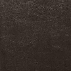 Kimonte Dining Set Dining Room Set Ashley Furniture