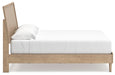 Cielden Bed - Dayton Discount Furniture