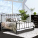 RIANA Antique Black Metal Twin Bed Bed FOA East