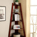 Lyss Cherry Ladder Shelf Bookcase FOA East