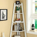 Lyss White Ladder Shelf Bookcase FOA East