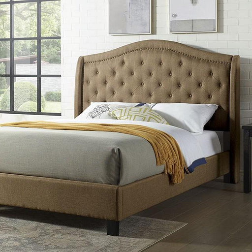 CARLY Queen Bed, Brown Bed FOA East