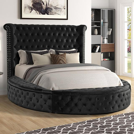 SANSOM Queen Bed, Black Bed FOA East