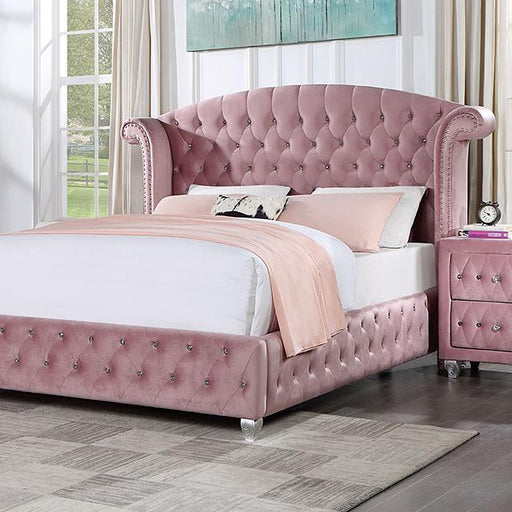 ZOHAR Queen Bed, Pink Bed FOA East