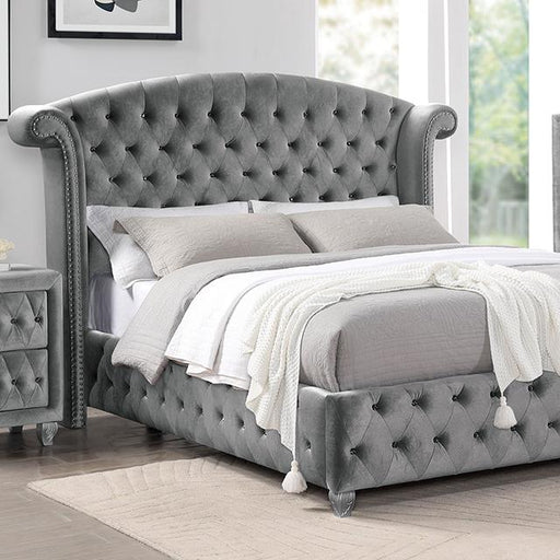 ZOHAR Queen Bed, Gray Bed FOA East