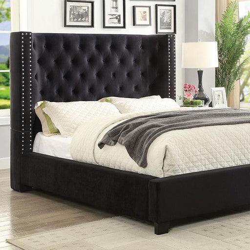 CARLEY Queen Bed, Black Bed FOA East