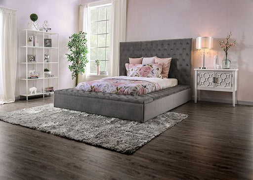 GOLATI Queen Bed, Gray Bed FOA East