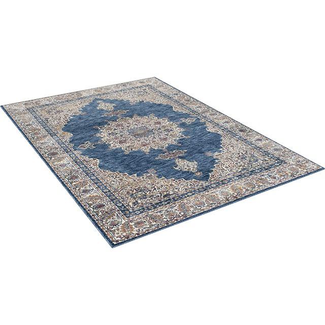 Payas Blue/Multi 5' X 7' Area Rug Rug FOA East