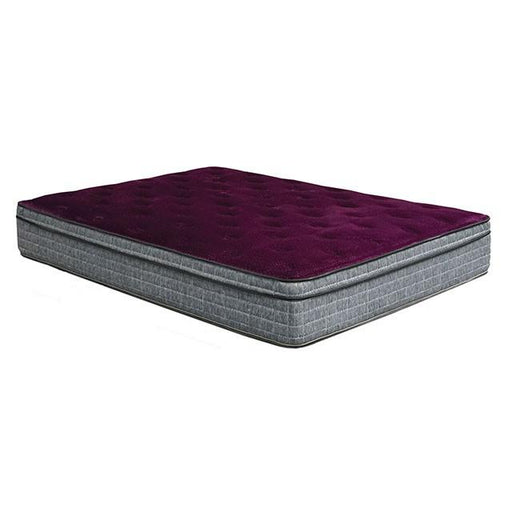 Purple/Grey 13" Euro Pillow Top Mattress Non-Flip, Full Mattress FOA East